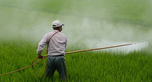 O que é um herbicida sistêmico?
